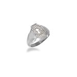 Unlocked - Ring